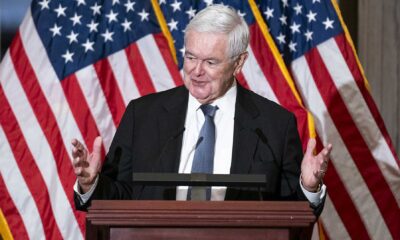 Newt Gingrich Immigration Speech 2024