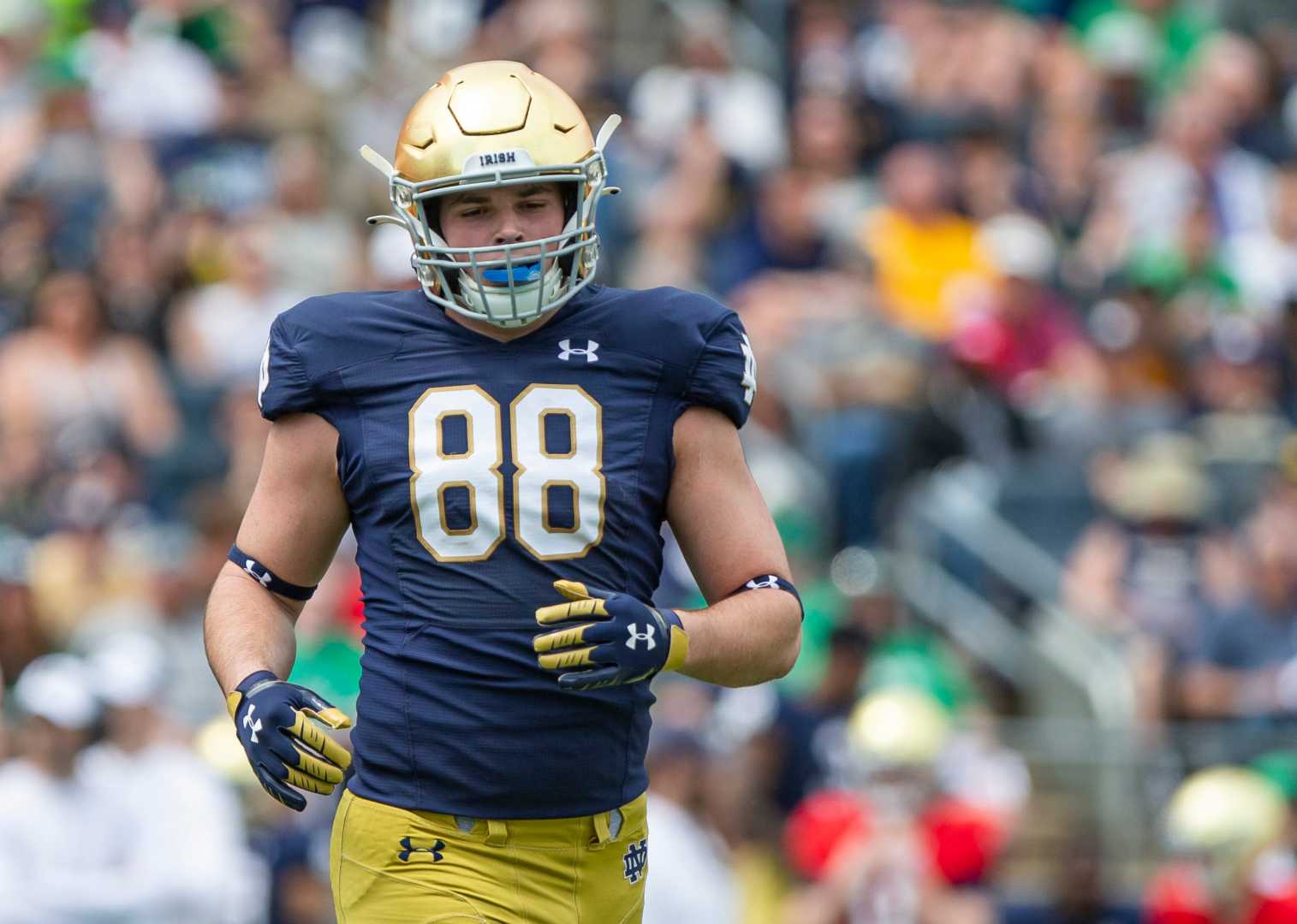 Notre Dame Tight End Mitchell Evans Football