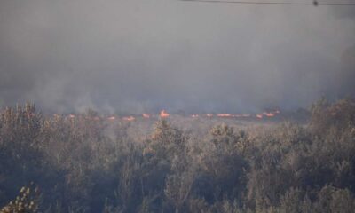 Oxnard Brush Fire Near Mcgrath State Beach