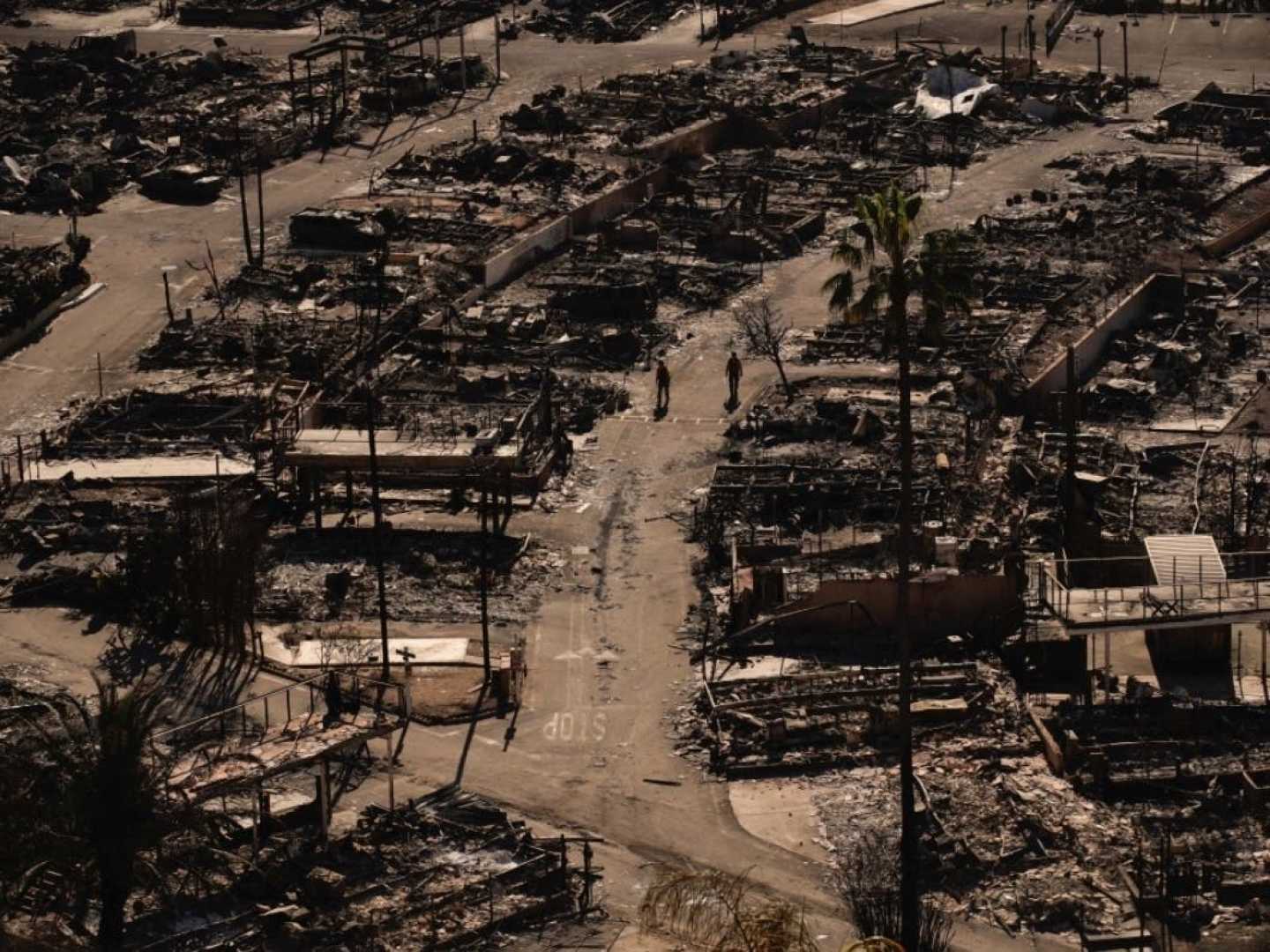 Palisades Fire Aftermath Pacific Palisades Los Angeles