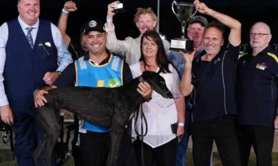 Pass The Buck Greyhound Warragul Cup Win