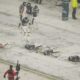 Philadelphia Eagles Snow Game 2025