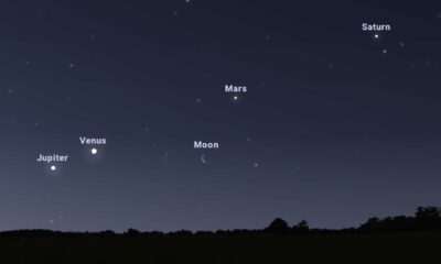 Planetary Alignment Venus Saturn Jupiter Mars Night Sky