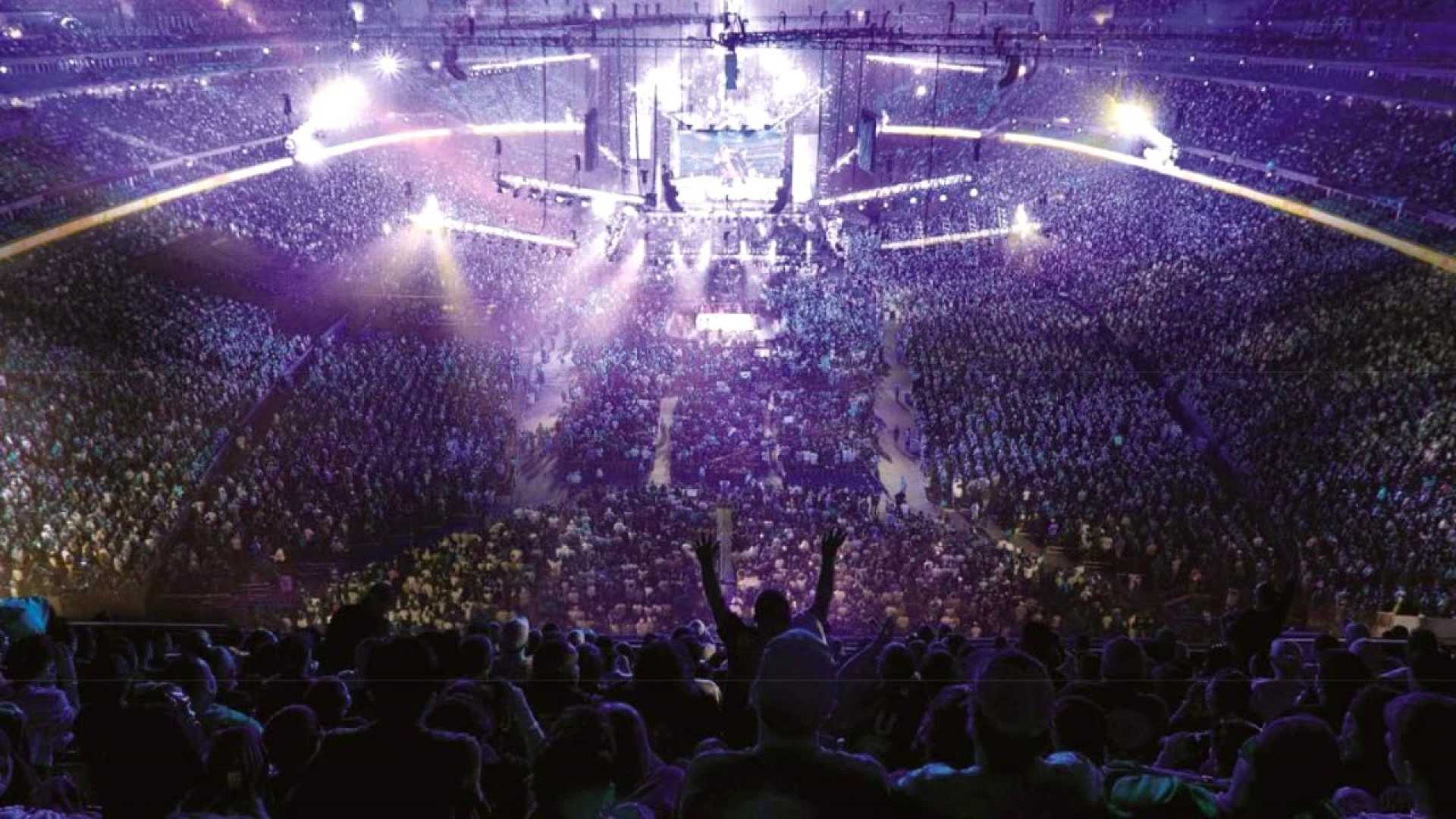 Pro Wrestling Fans Cheering In Arena