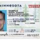 Real Id Minnesota Driver's License Application