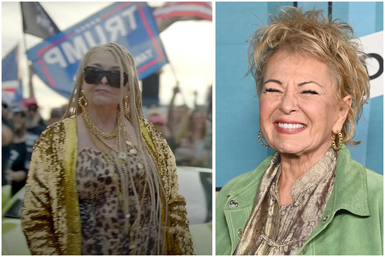 Roseanne Barr Rap Video Daddy's Home