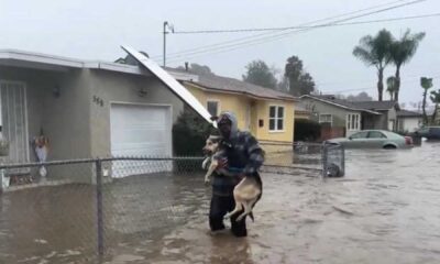 San Diego Heavy Rain January 2024