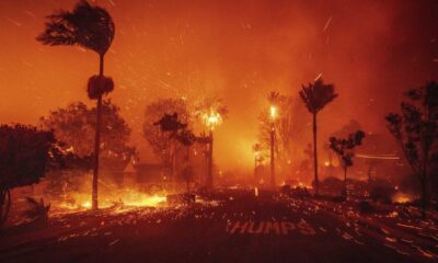 Santa Ana Winds Wildfire Los Angeles 2025