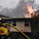 Santa Ynez Reservoir Pacific Palisades Wildfire Damage