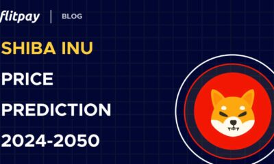 Shiba Inu Cryptocurrency Price Chart 2025