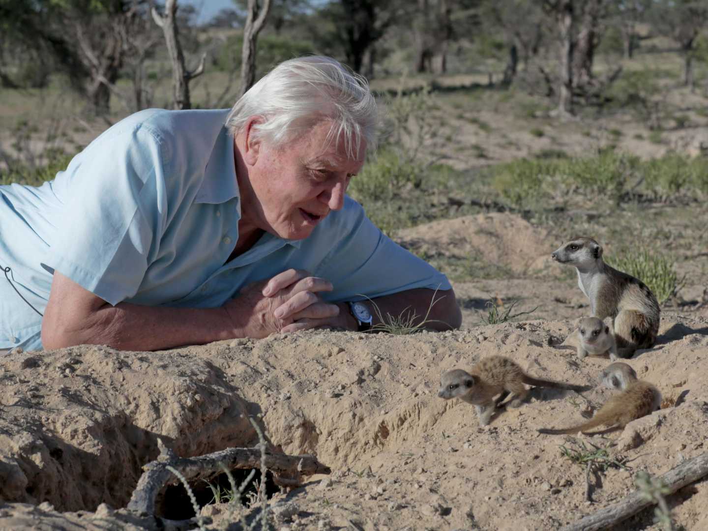 Sir David Attenborough With Rats In Nature