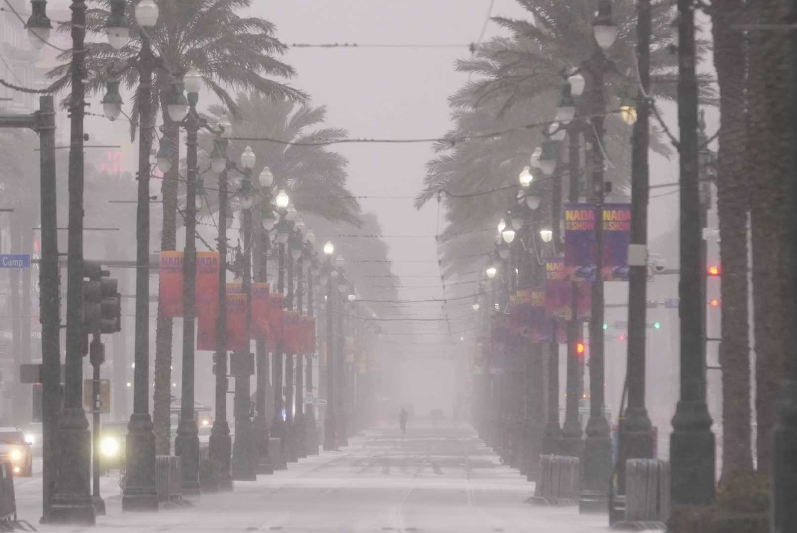 Snow Covered Palm Trees Gulf Coast 2025