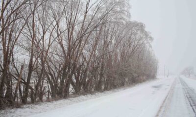 Snow Covered Roads In South Carolina Winter Storm