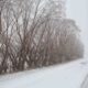 Snow Covered Roads In South Carolina Winter Storm