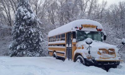 Snow Covered School Buses Michigan Winter