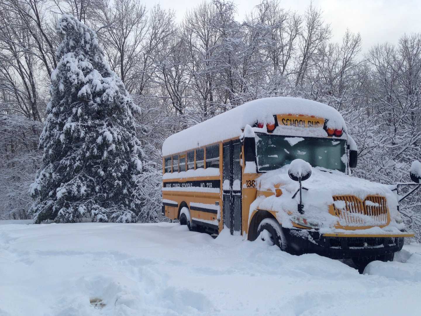 Snow Covered School Buses Michigan Winter