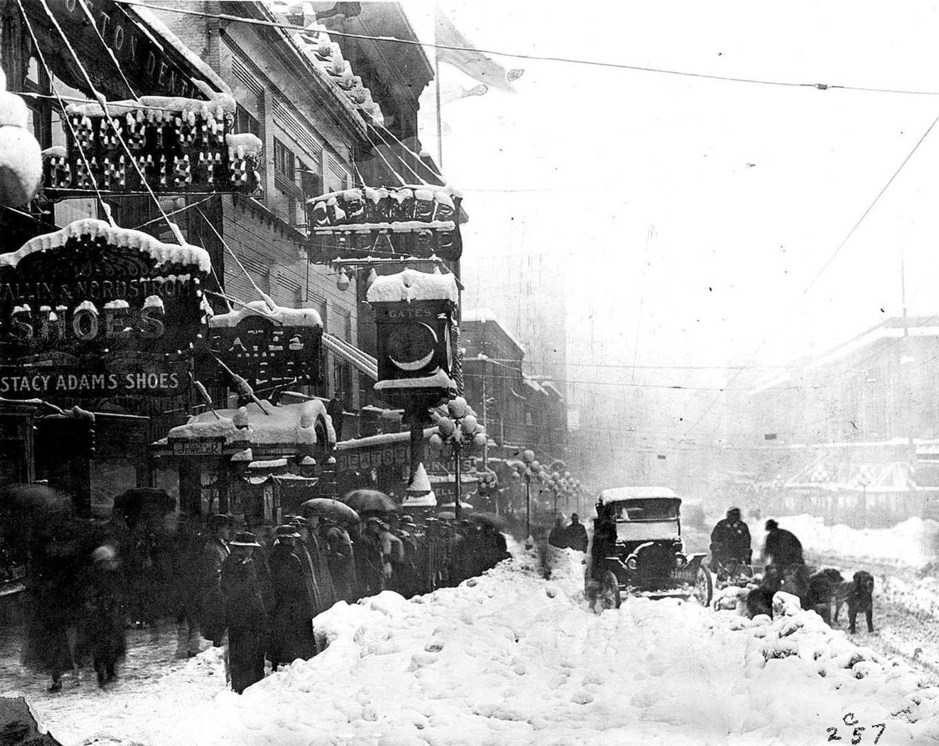 Snowstorm In Seattle Washington