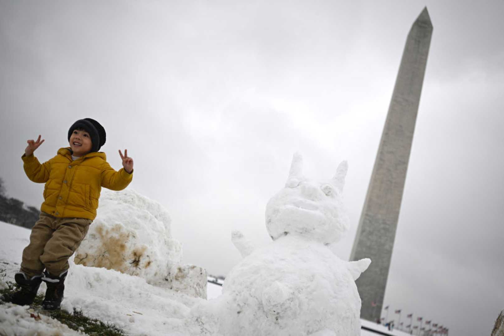 Snowstorm Washington Dc January 2024