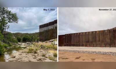 Sonora Chub Fish Arizona Border Wall