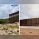 Sonora Chub Fish Arizona Border Wall