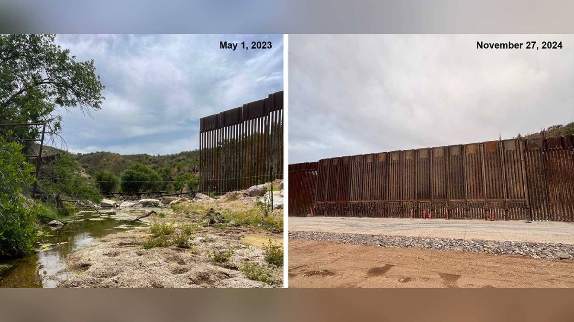 Sonora Chub Fish Arizona Border Wall