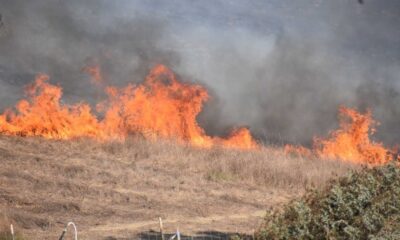 Southern California Brush Fire Near Oxnard Golf Course