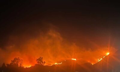 Spacex Starlink Terminals Wildfire Los Angeles