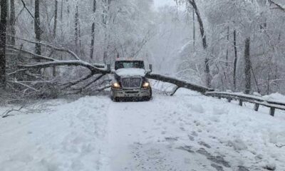 Stafford County Winter Storm Aftermath