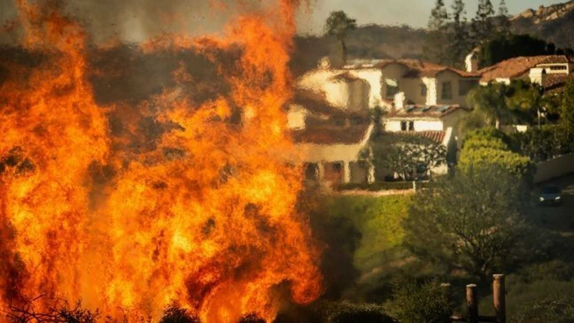 Studio City Brush Fire Hillside Homes Los Angeles