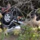 Submerged Car In Retention Pond Greensboro Nc