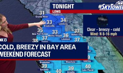 Tampa Bay Cold Weather January 2024