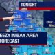 Tampa Bay Cold Weather January 2024