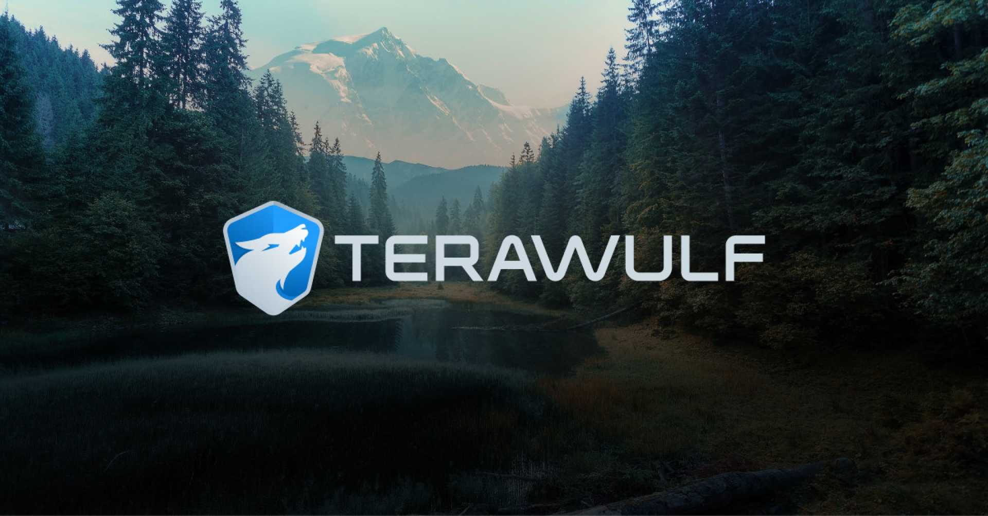 Terawulf Inc. Stock Chart 2025