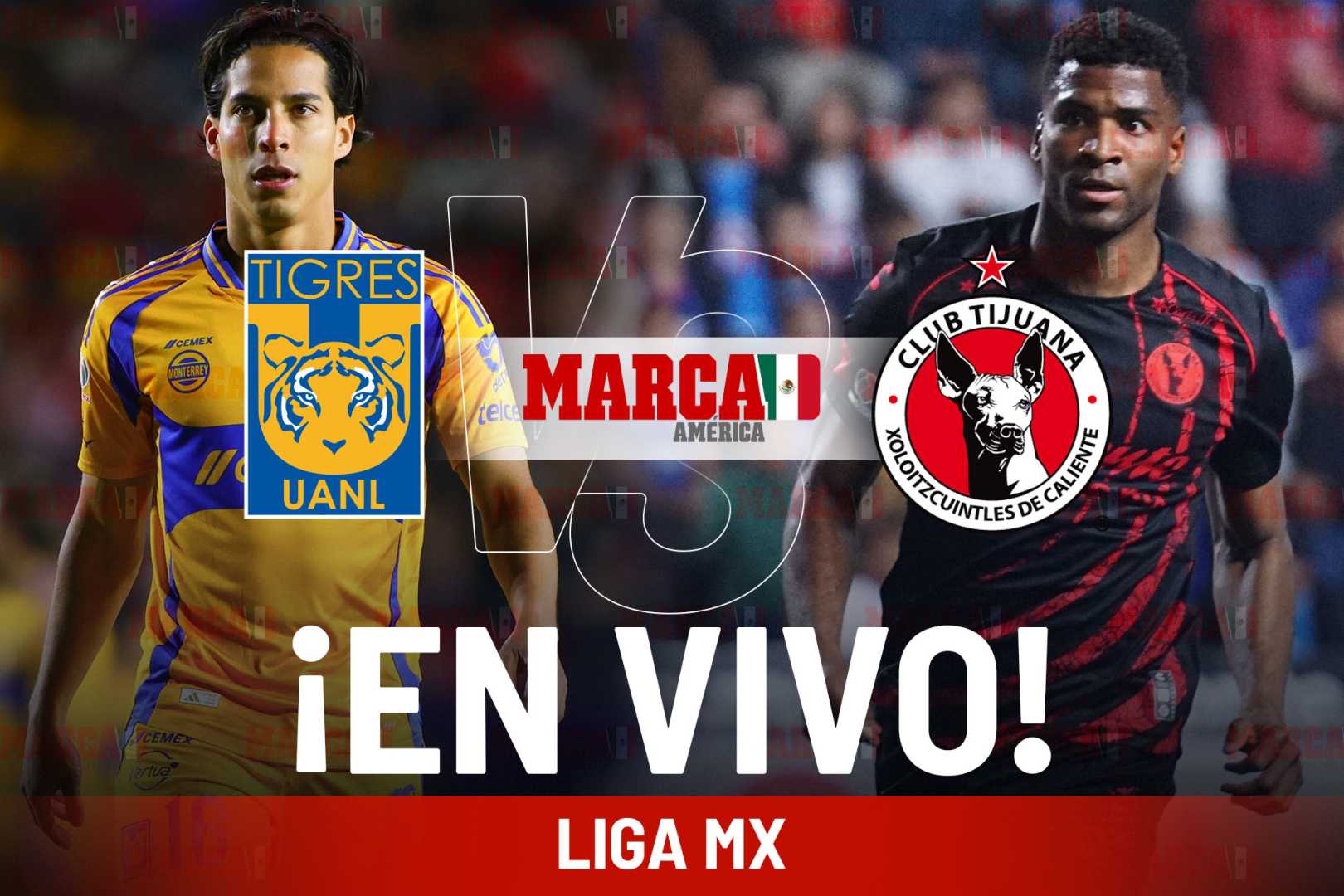 Tigres Uanl Vs Xolos Tijuana Estadio Universitario 2025