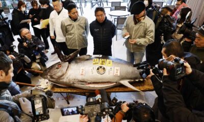 Tokyo Fish Market Bluefin Tuna Auction 2025