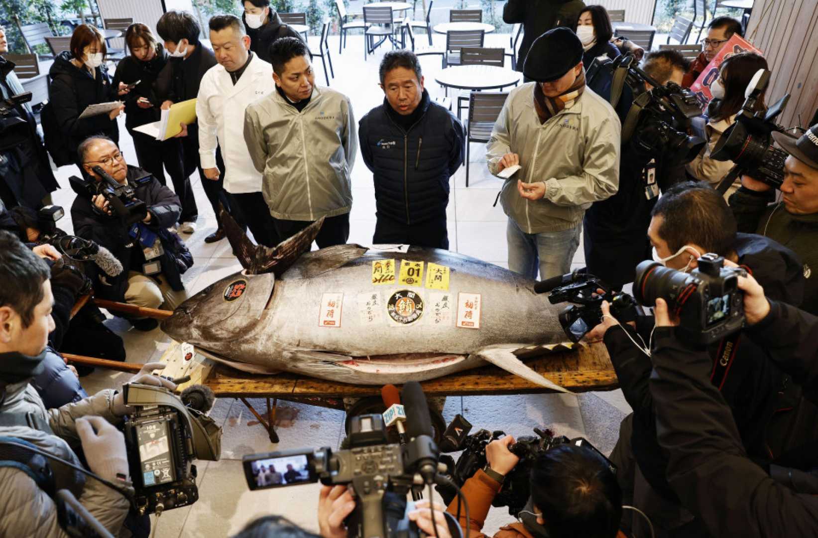 Tokyo Fish Market Bluefin Tuna Auction 2025