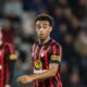 Tyler Adams Bournemouth Premier League 2025