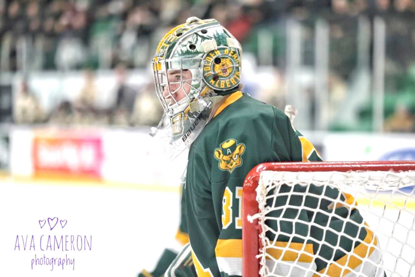 Tyler Palmer Edmonton Oilers Backup Goalie