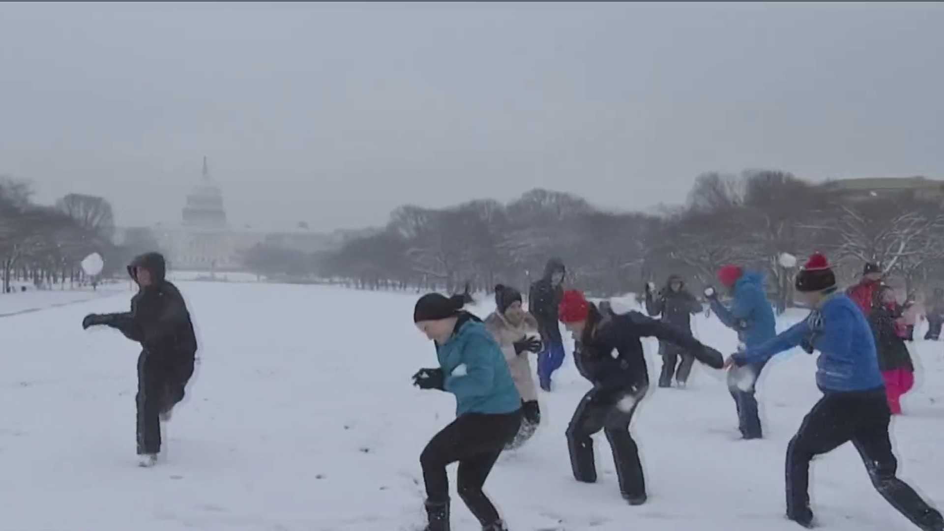 Washington Dc Snowstorm Winter Storm 2024