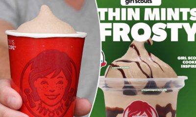 Wendy's Thin Mint Frosty Promotional Image