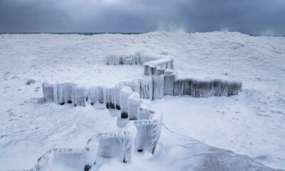 West Michigan Winter Snowfall Landscape