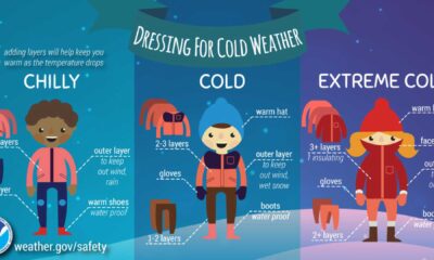 Winter Illness Prevention Tips Infographic