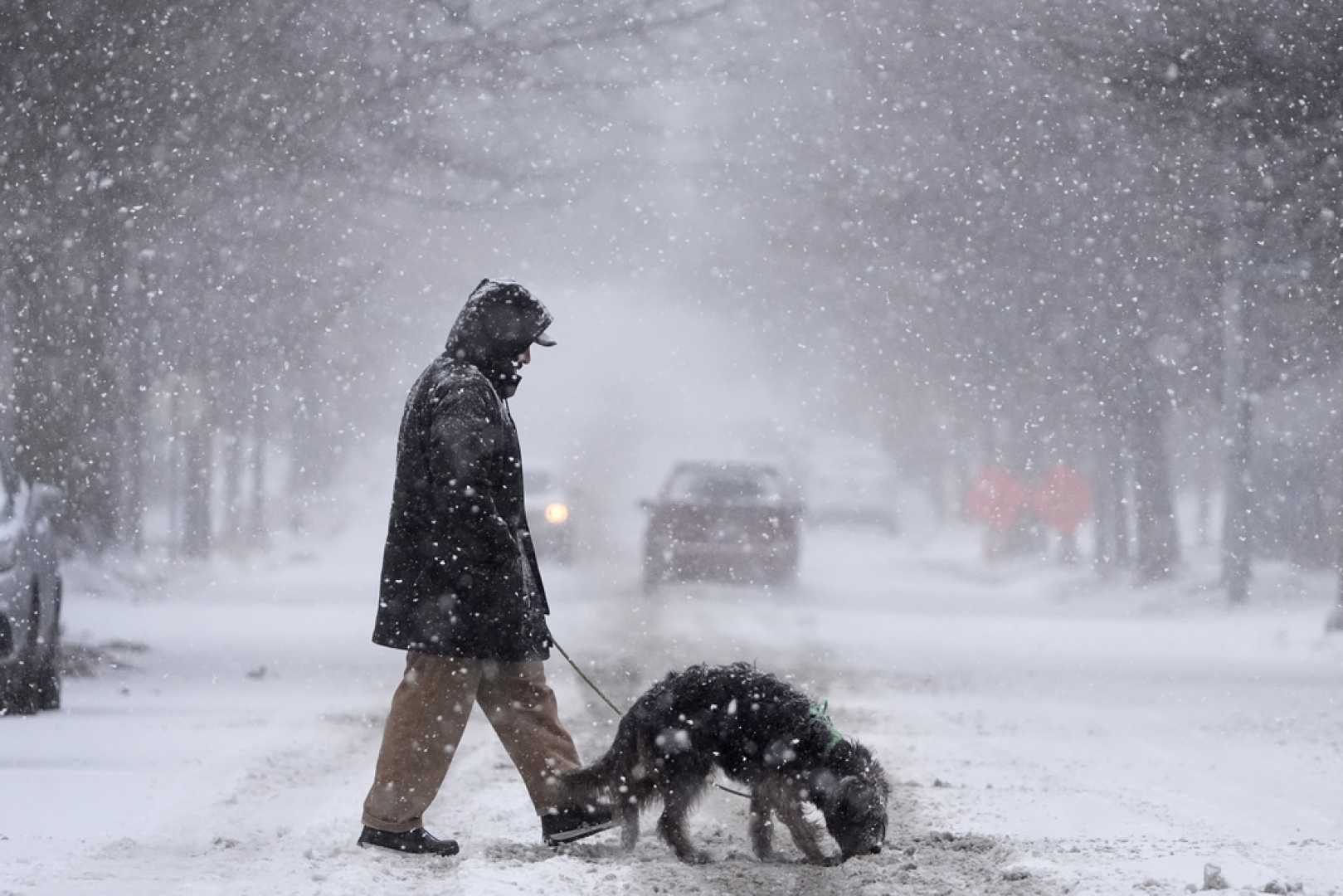 Winter Storm Philadelphia 2025 Snow Accumulation