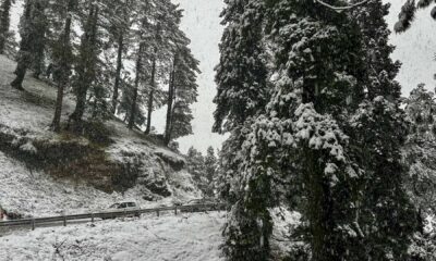 Winter Storm Snow New Mexico Colorado 2023