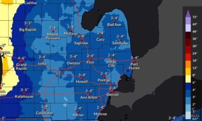 Winter Storm Southeast Snow Accumulation 2025