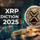 Xrp Cryptocurrency Price Surge 2025