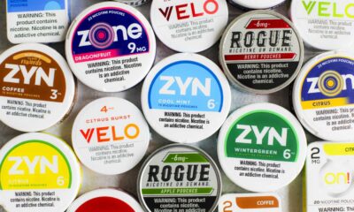 Zyn Nicotine Pouches Fda Approval 2025