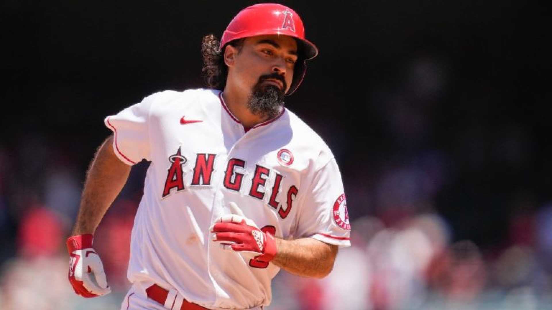 Anthony Rendon Injury News Los Angeles Angels Hip Surgery