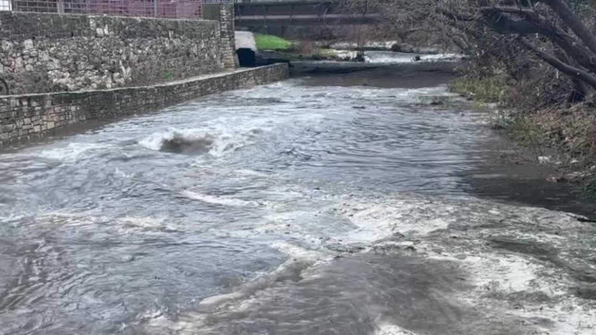 Austin Heavy Rainfall February 2024