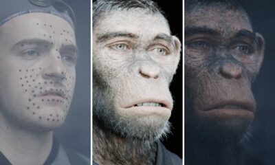 Better Man Movie Cgi Chimpanzee Image